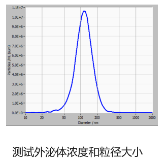 图表, 直方图 描述已自动生成